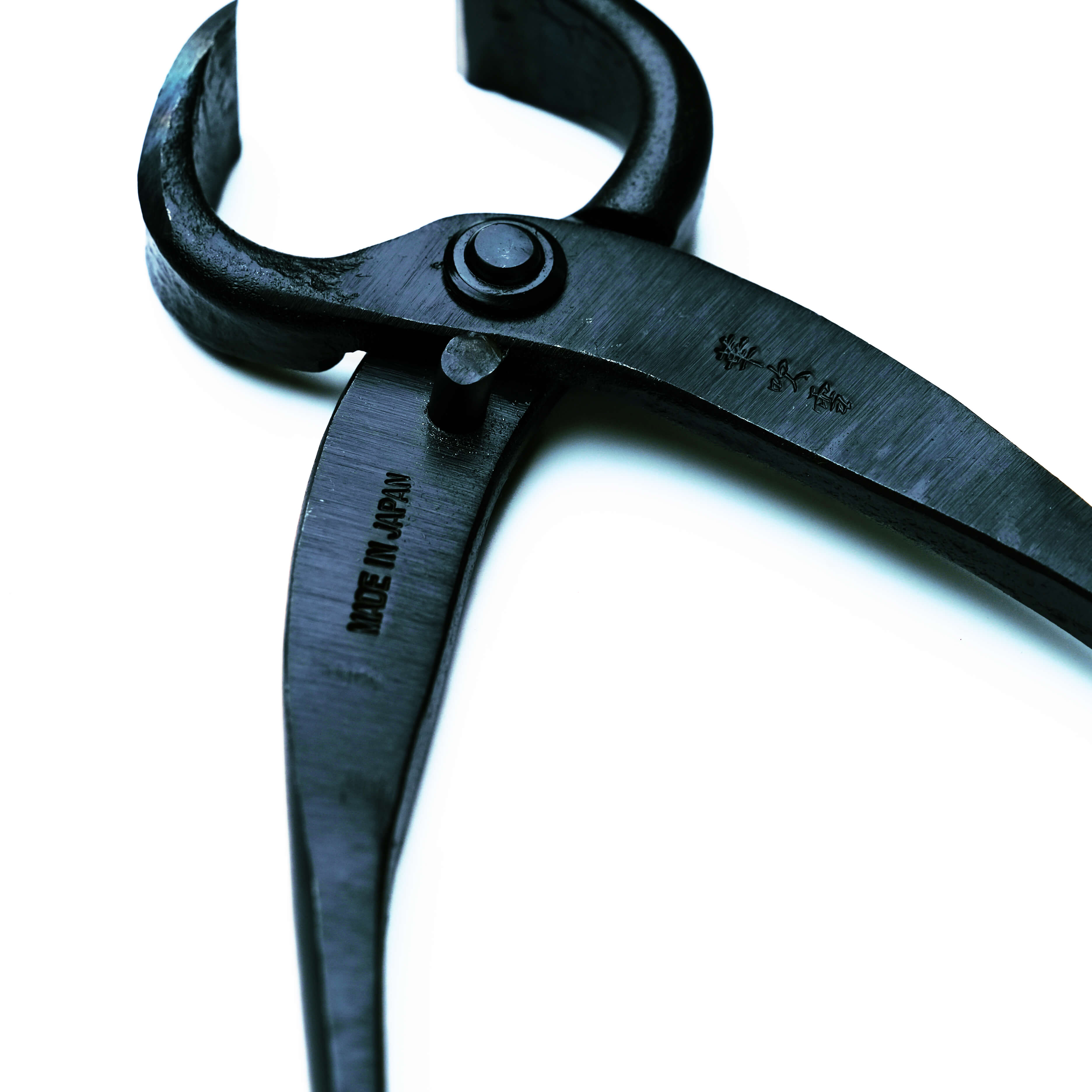Coupe-racines Bonsaï 170mm, Acier Carbone Noir, Outil de Précision pour la Taille