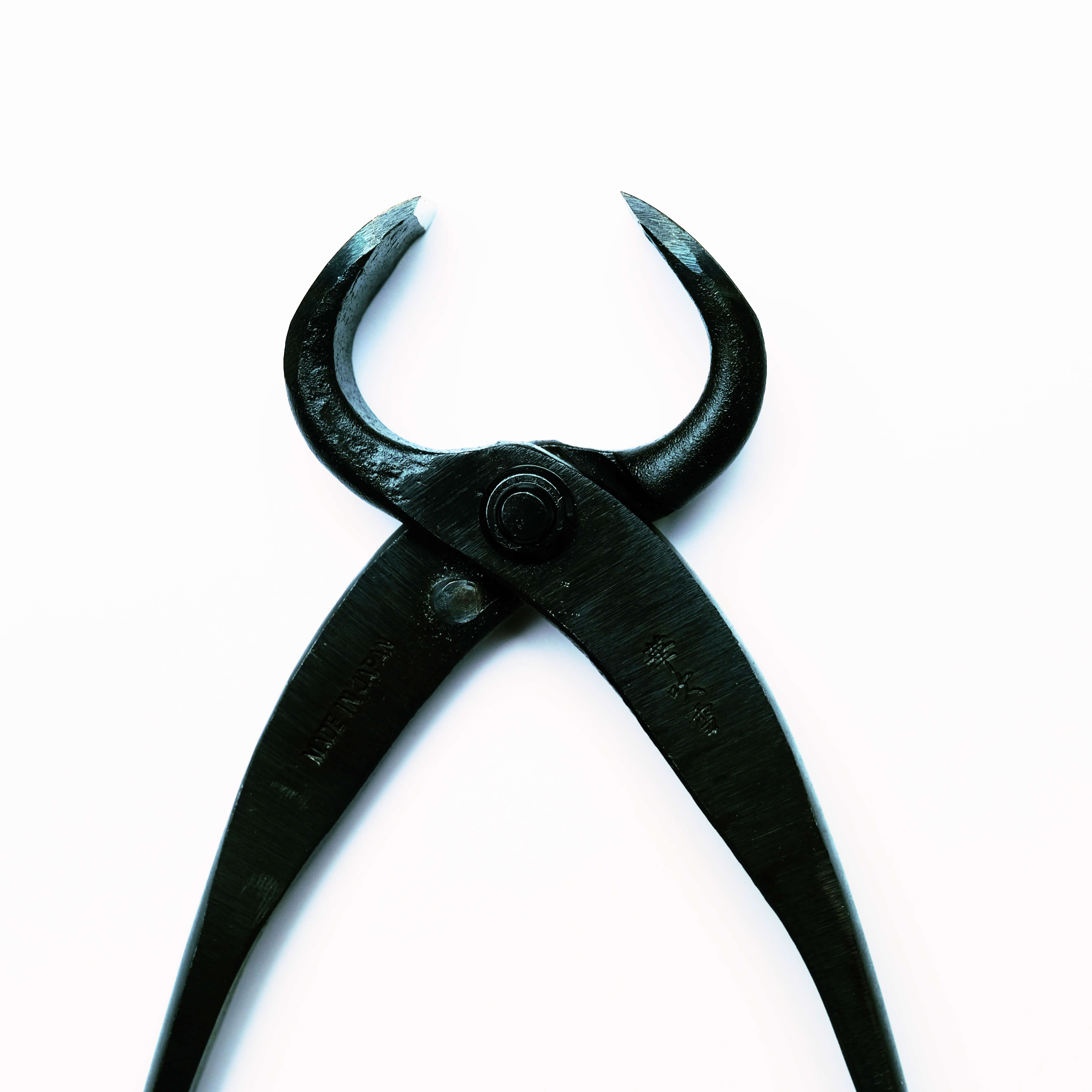 Coupe-racines Bonsaï 170mm, Acier Carbone Noir, Outil de Précision pour la Taille
