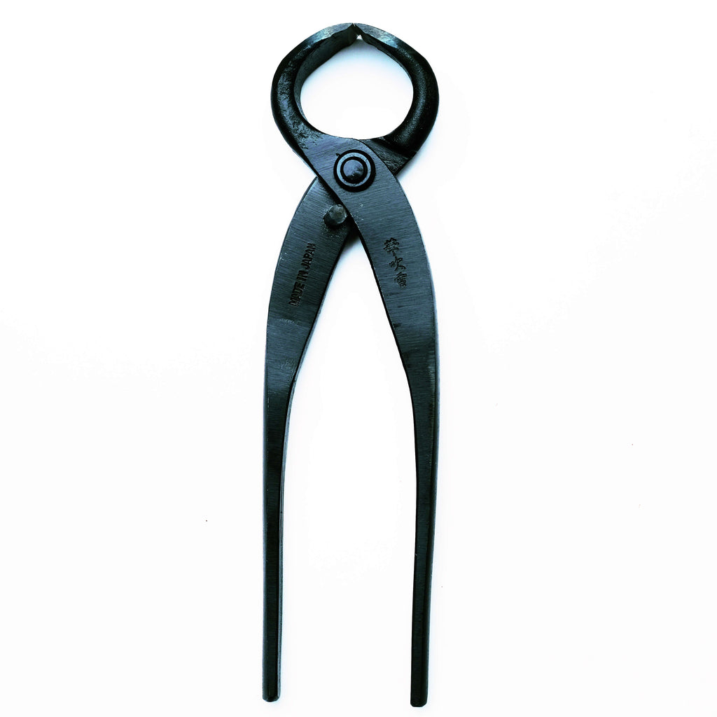 Coupe-racines Bonsaï 170mm, Acier Carbone Noir, Outil de Précision pour la Taille