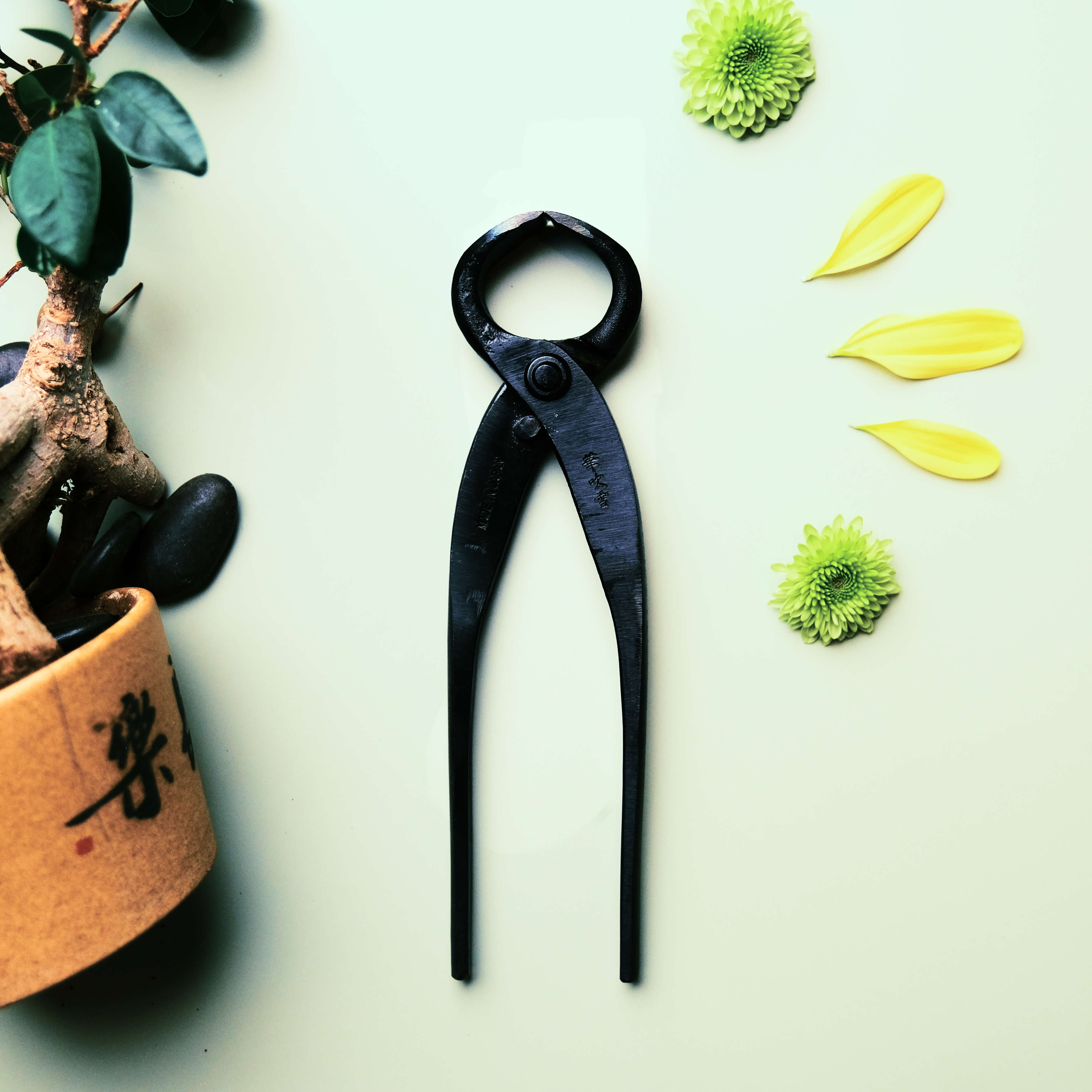 Coupe-racines Bonsaï 170mm, Acier Carbone Noir, Outil de Précision pour la Taille