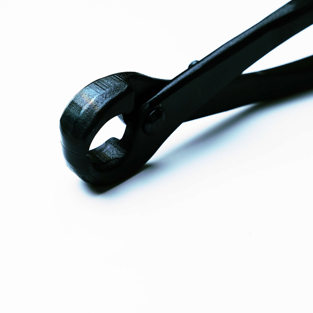 Coupe-branches concaves pour bonsaï 210mm en acier au carbone Outil professionnel pour bonsaï