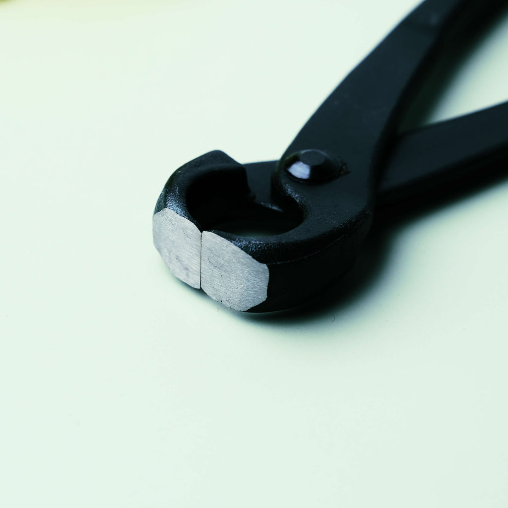 Fendeur de Tronc d'Arbre 210mm Noir Acier Carbone Outil de Façonnage Bonsaï
