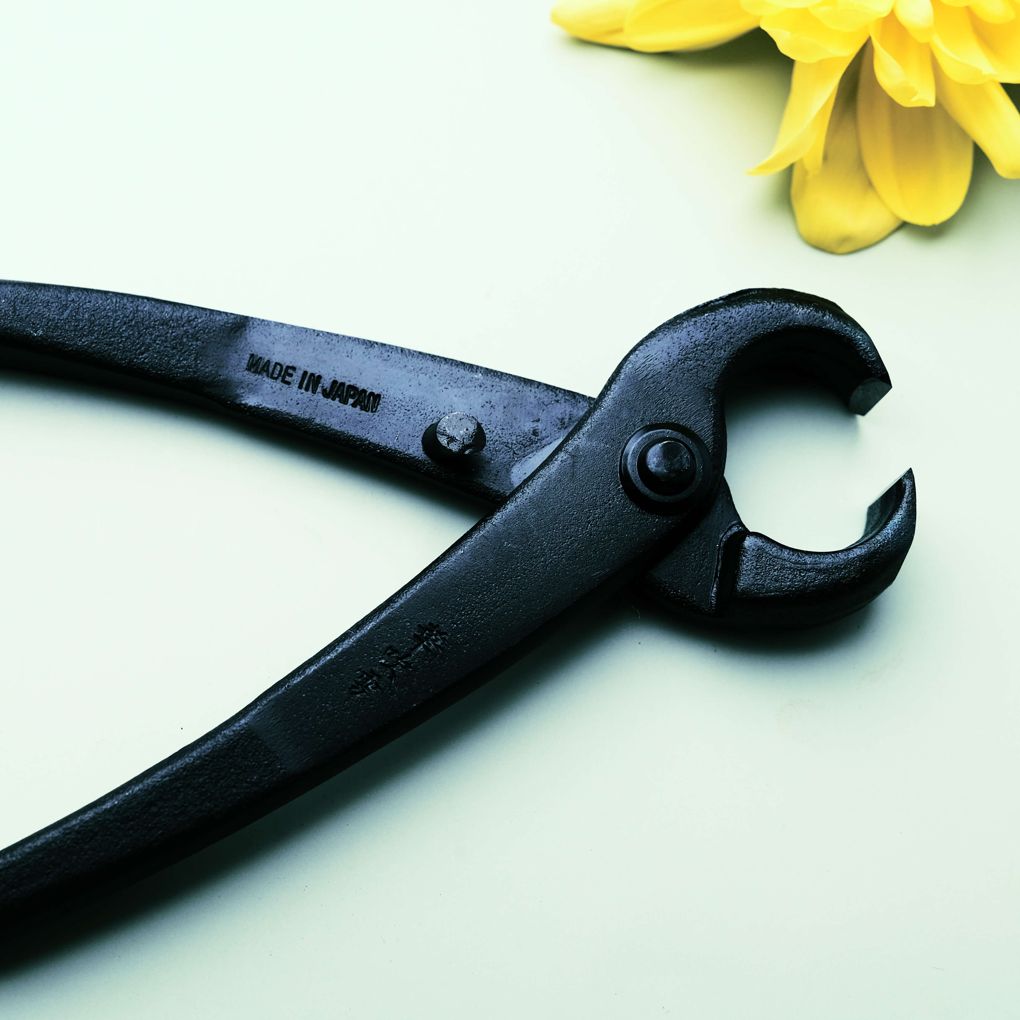 Fendeur de Tronc d'Arbre 210mm Noir Acier Carbone Outil de Façonnage Bonsaï