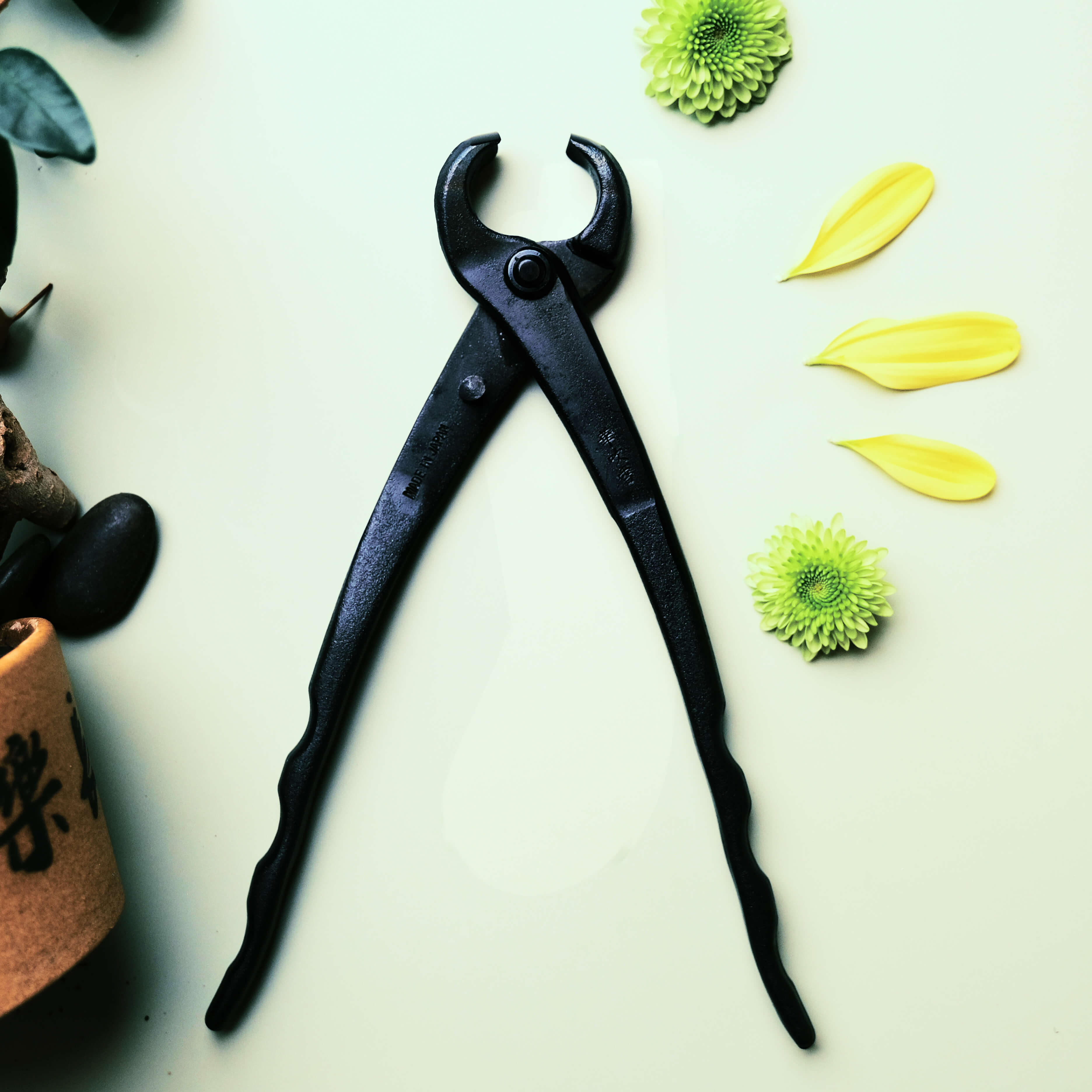 Coupe-branches concaves pour bonsaï 210mm en acier au carbone Outil professionnel pour bonsaï