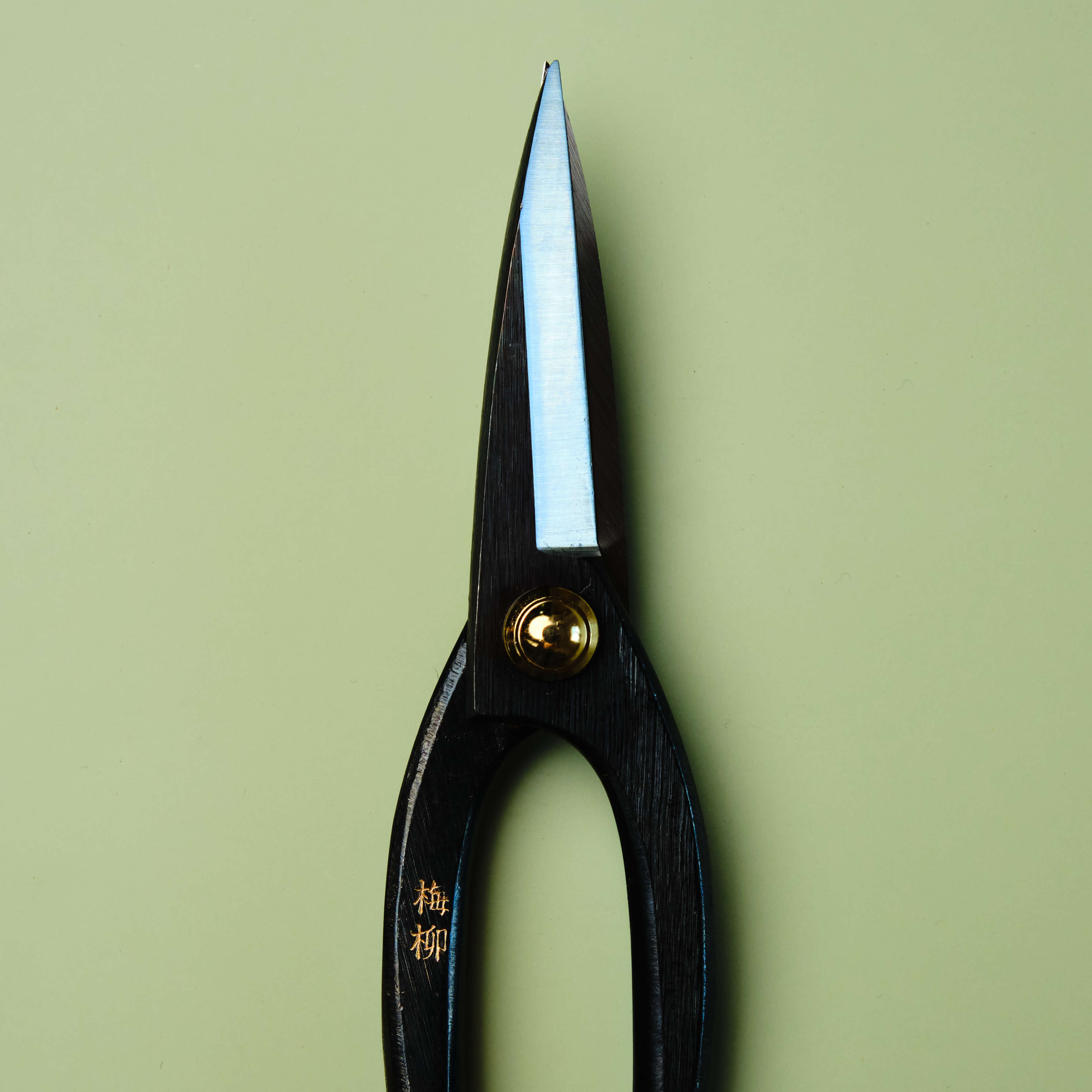 Ciseaux à bonsaï 210 mm