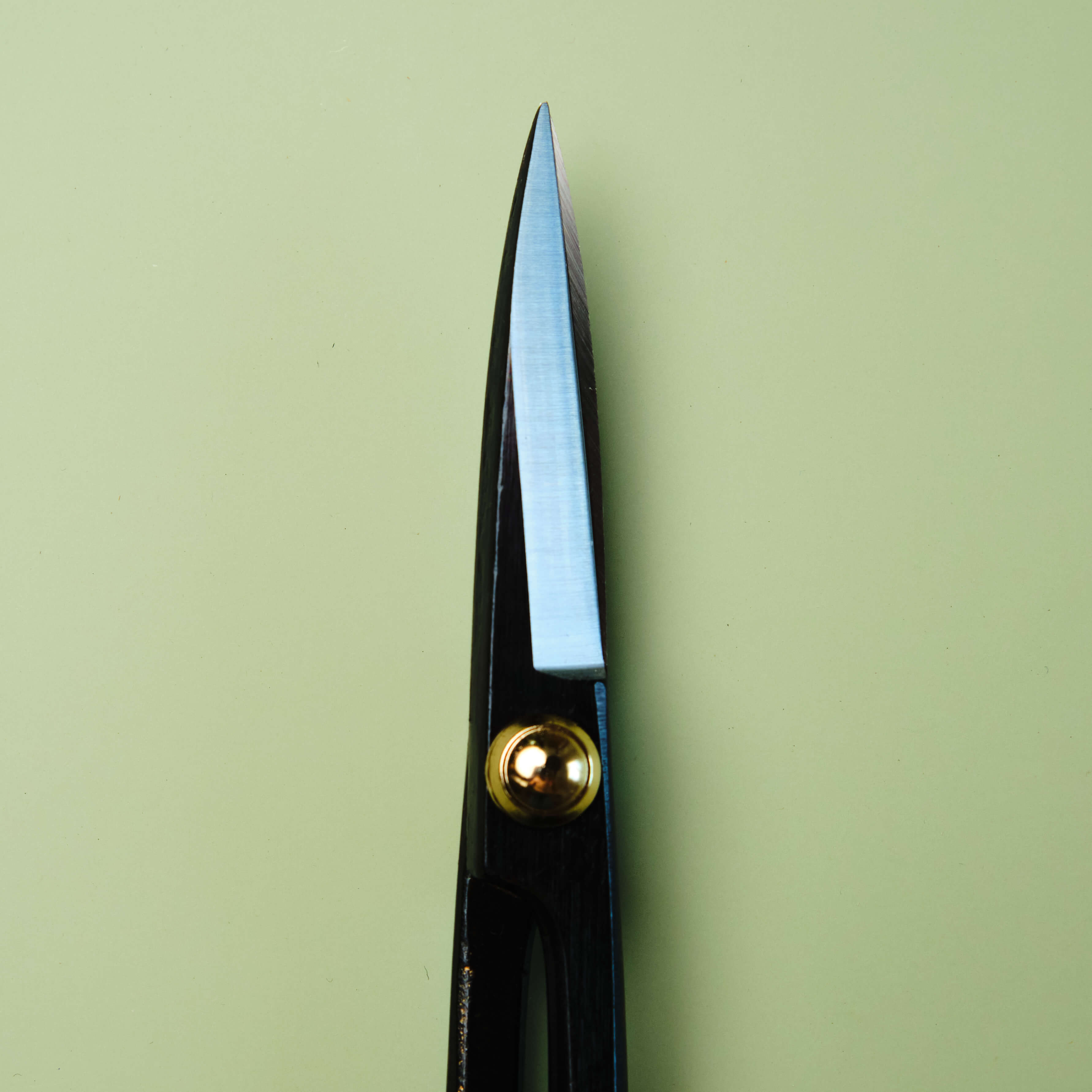 Sécateur 210 mm