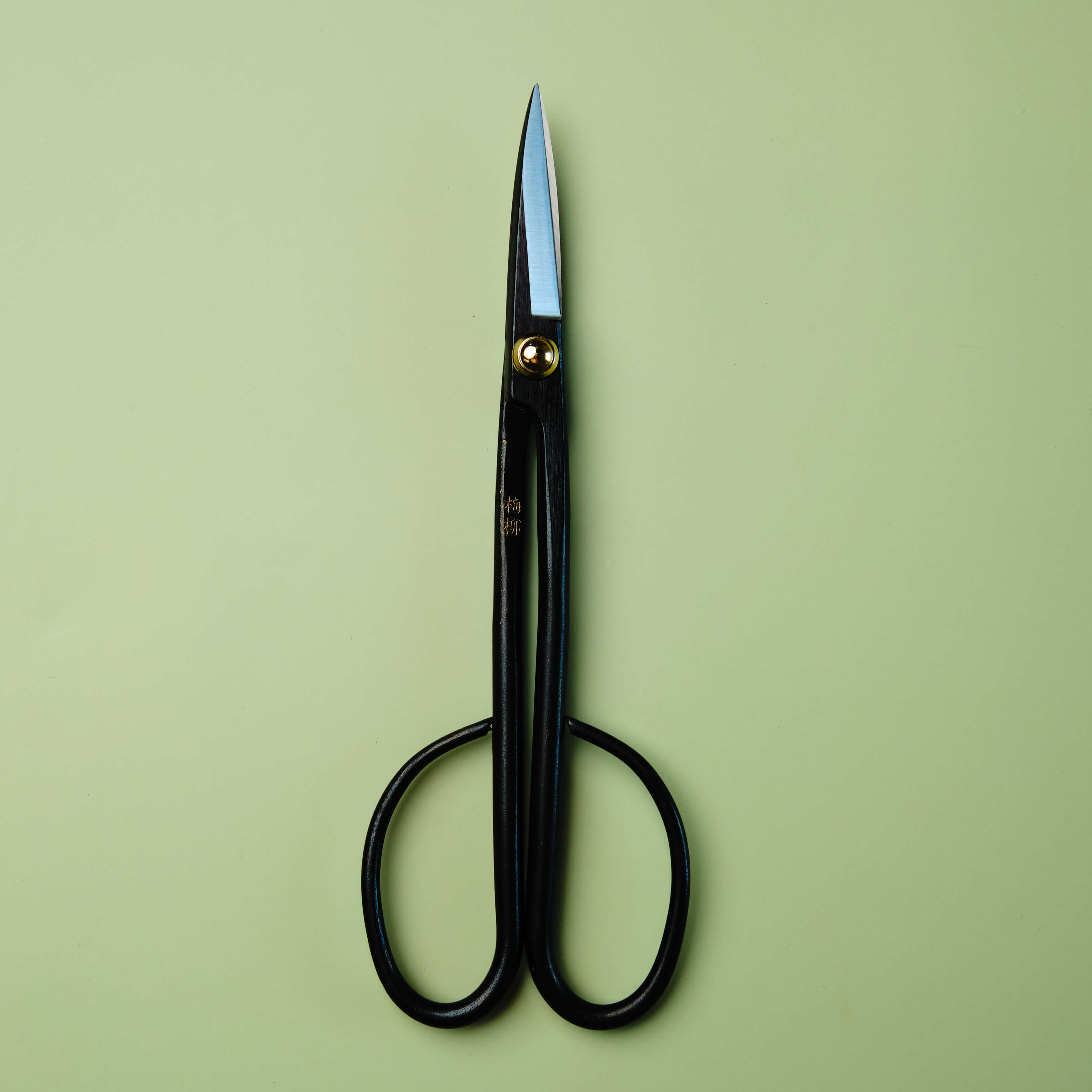 Sécateur 210 mm