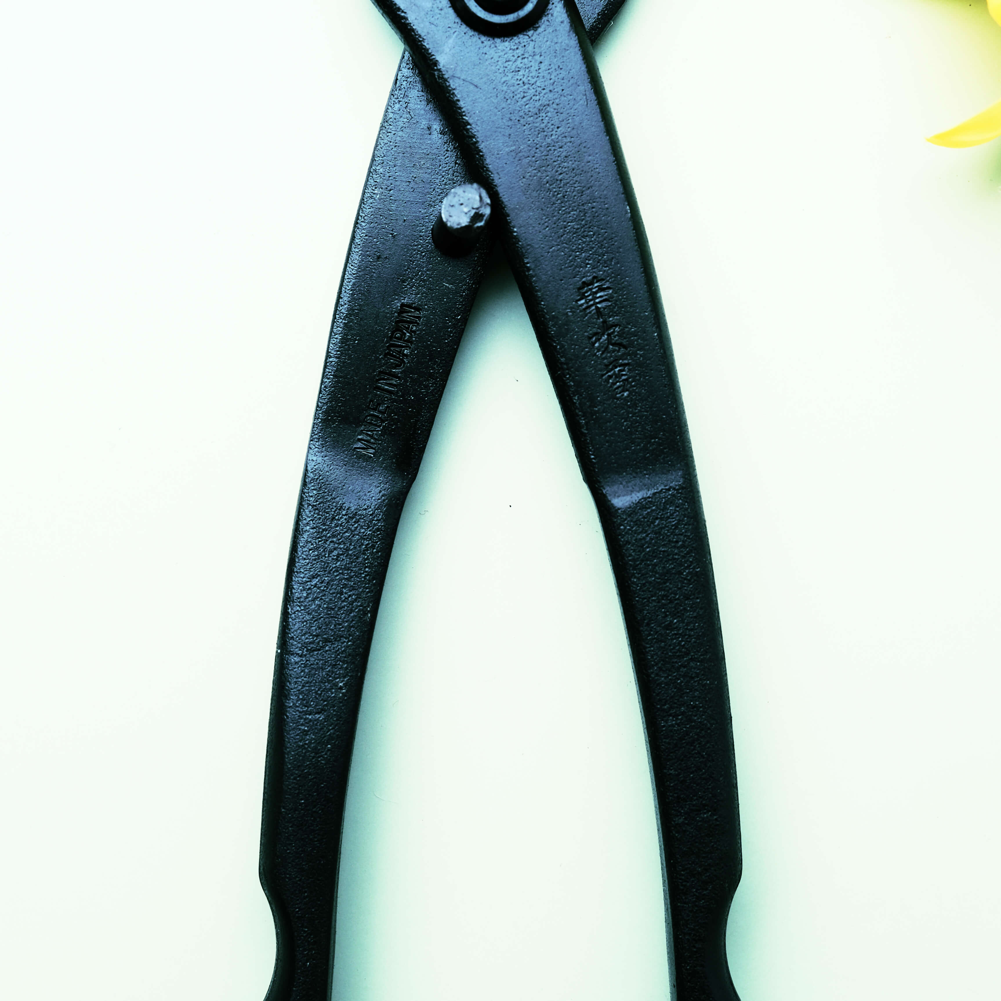 Fendeur de Tronc d'Arbre 210mm Noir Acier Carbone Outil de Façonnage Bonsaï