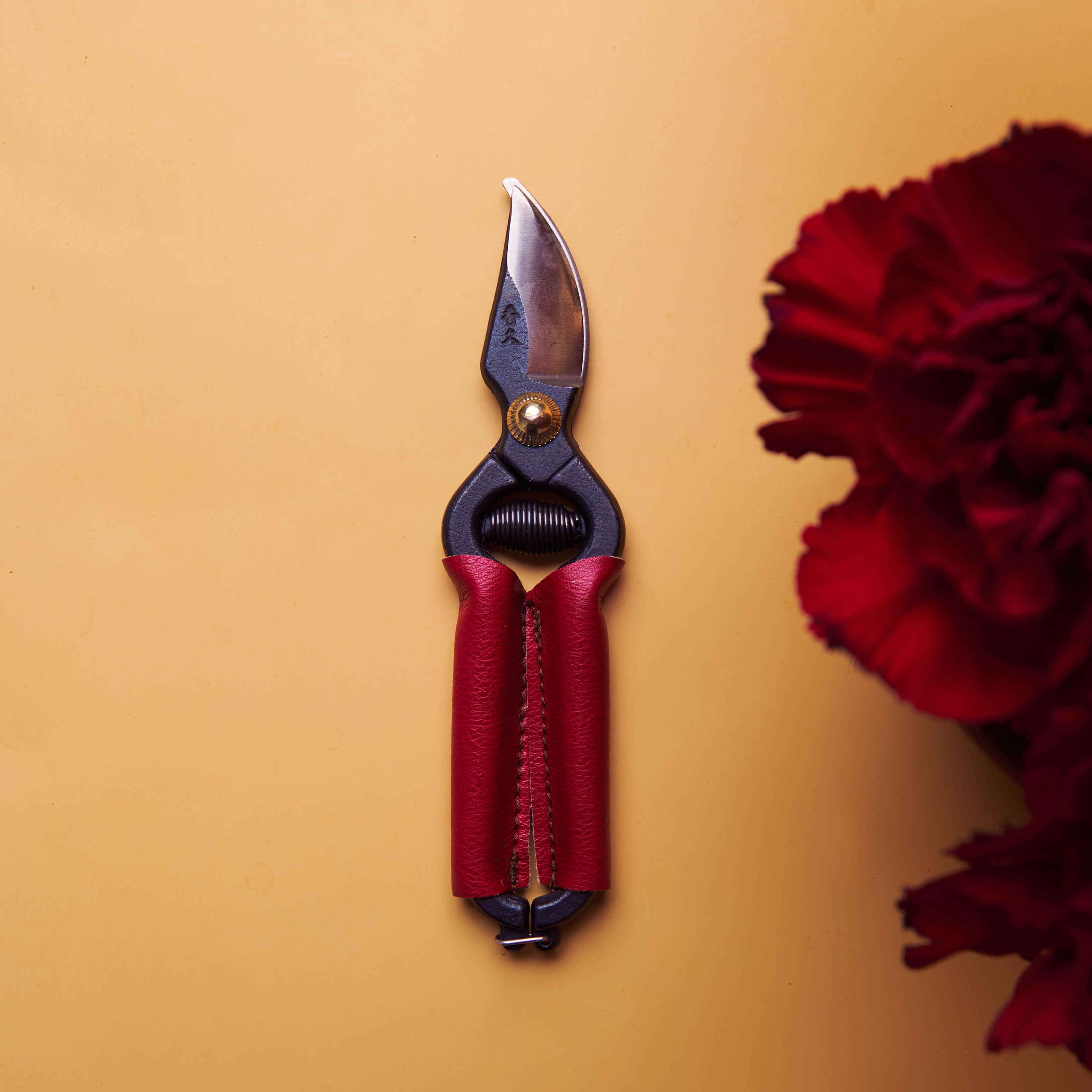Mini sécateur 140mm, manche en cuir rouge, outil de taille en acier japonais