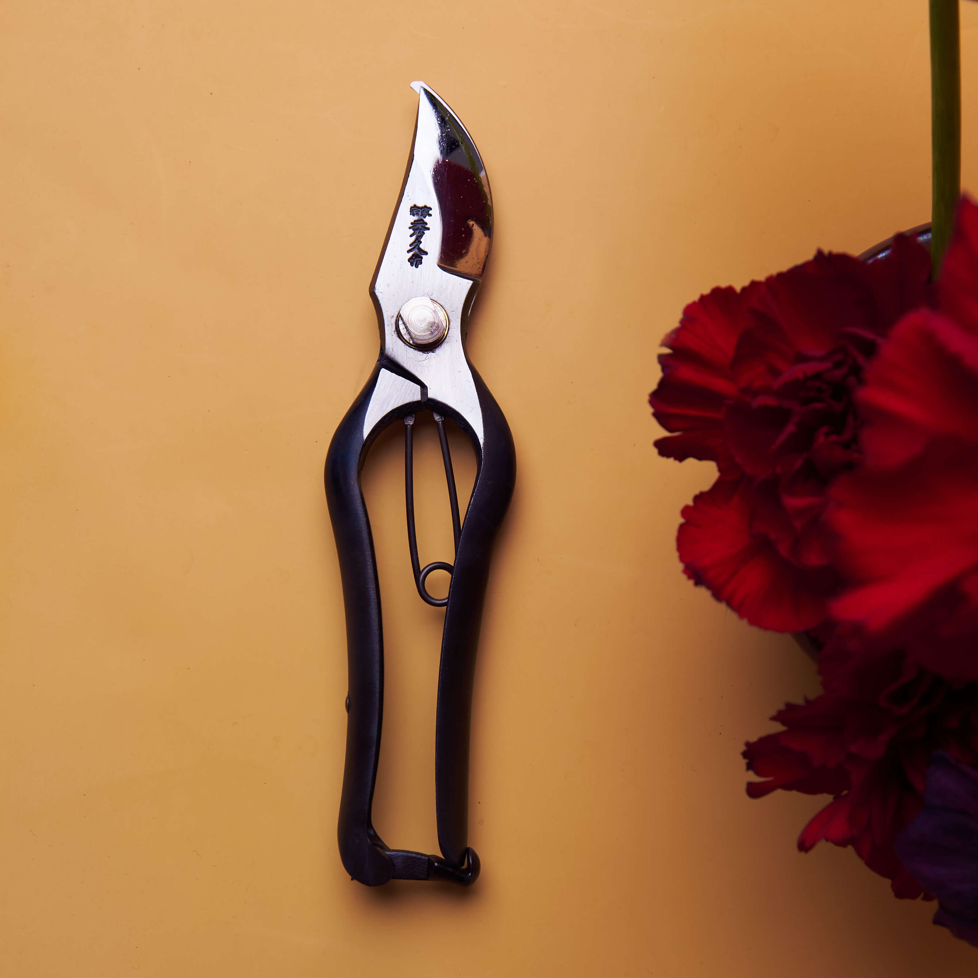 Sécateur en acier à haute teneur en carbone pour jardin et plantes d'intérieur 200 mm