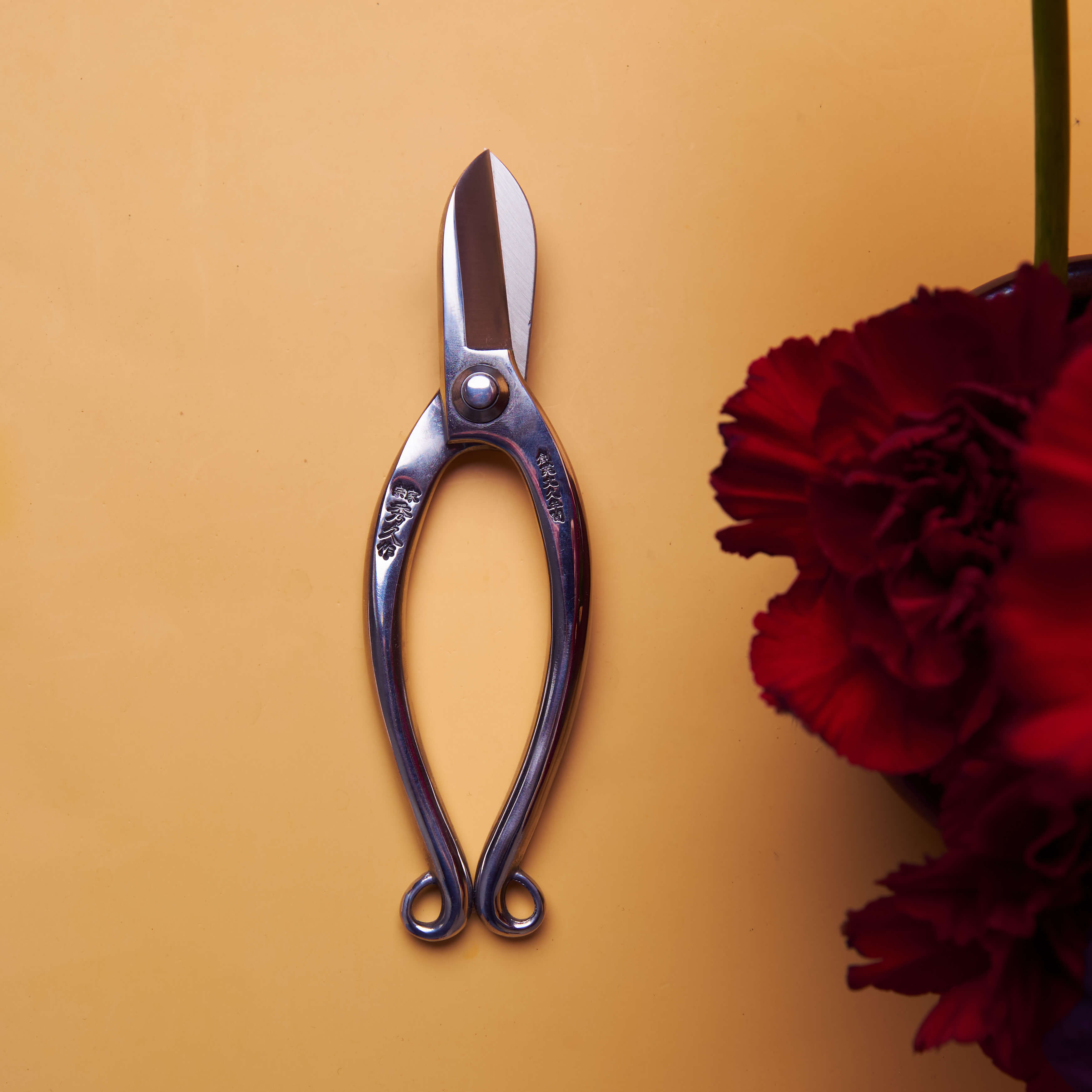 Cisailles japonaises en acier inoxydable pour ikebana