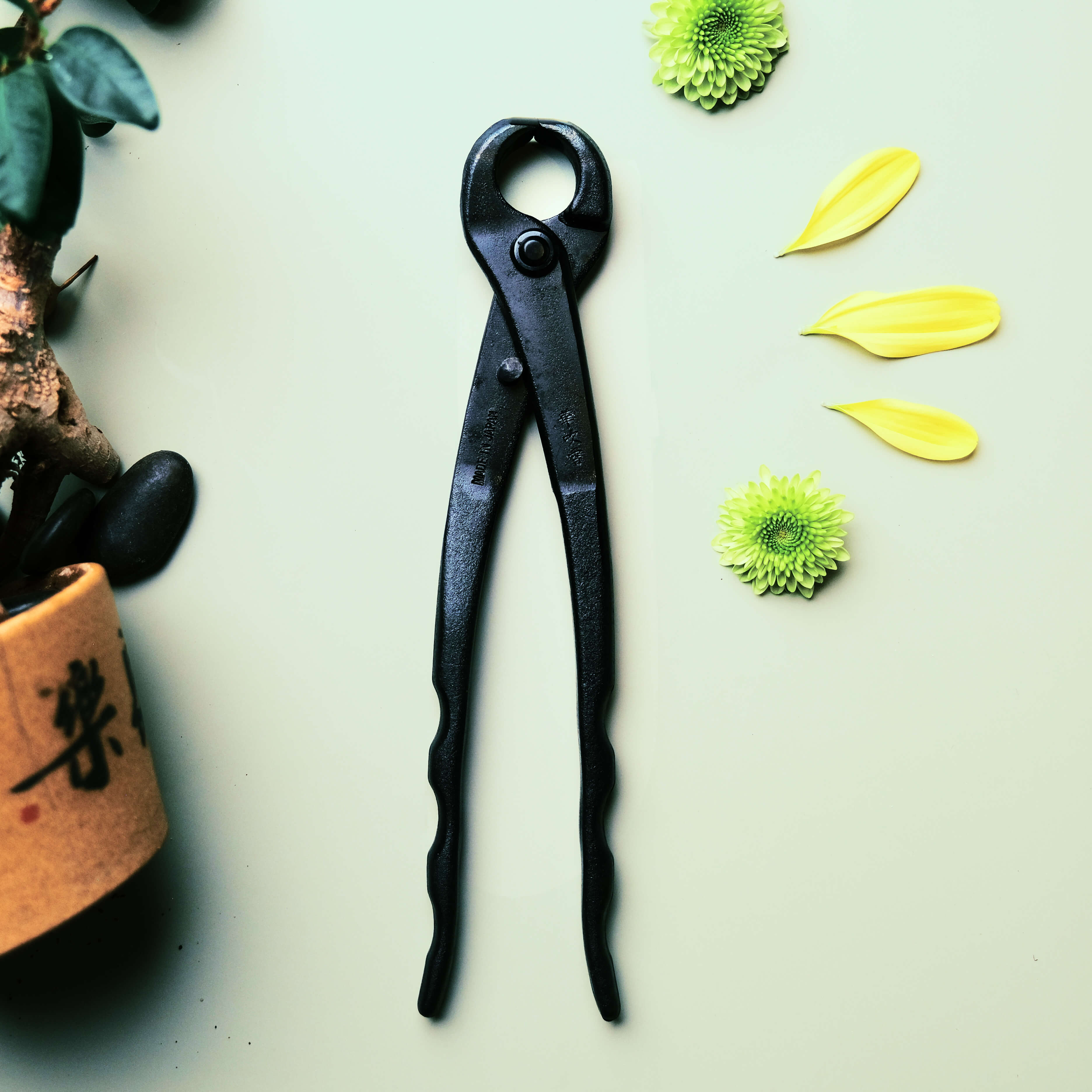 Coupe-branches concaves pour bonsaï 210mm en acier au carbone Outil professionnel pour bonsaï