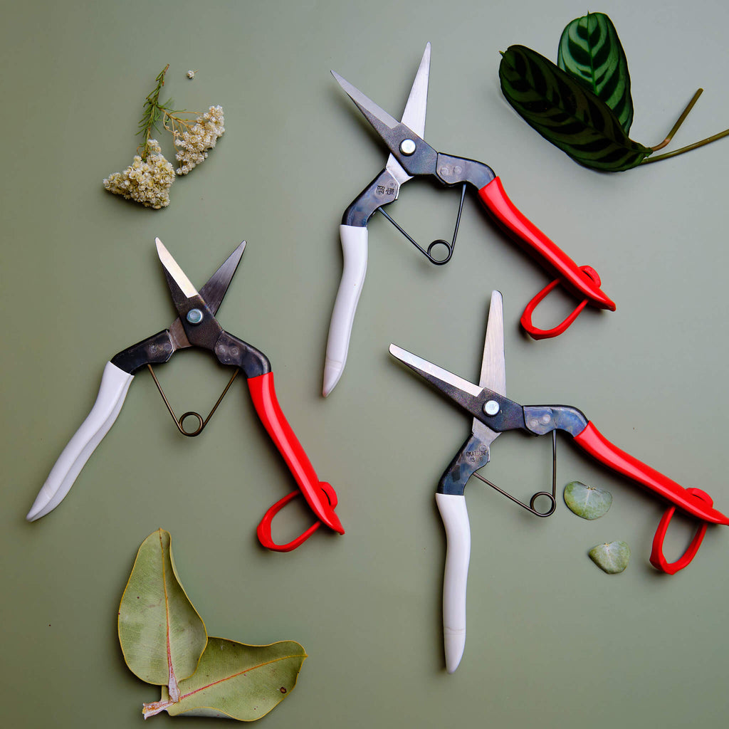Cisaille japonaise à long nez 190 mm, outil de jardin pour la taille fine et la récolte florale