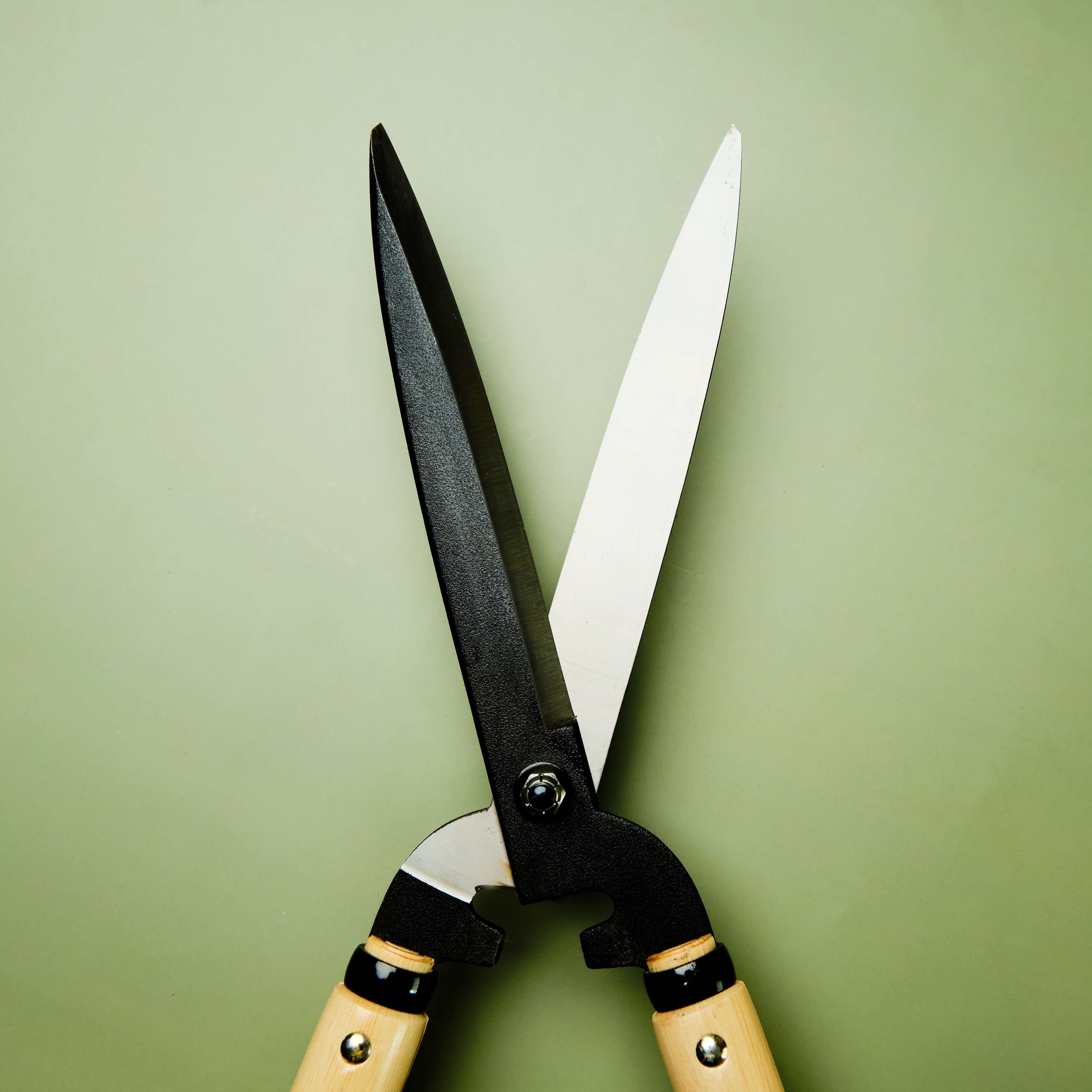 Cisaille japonaise, lame longue, long manche, acier carbone, outil de jardin