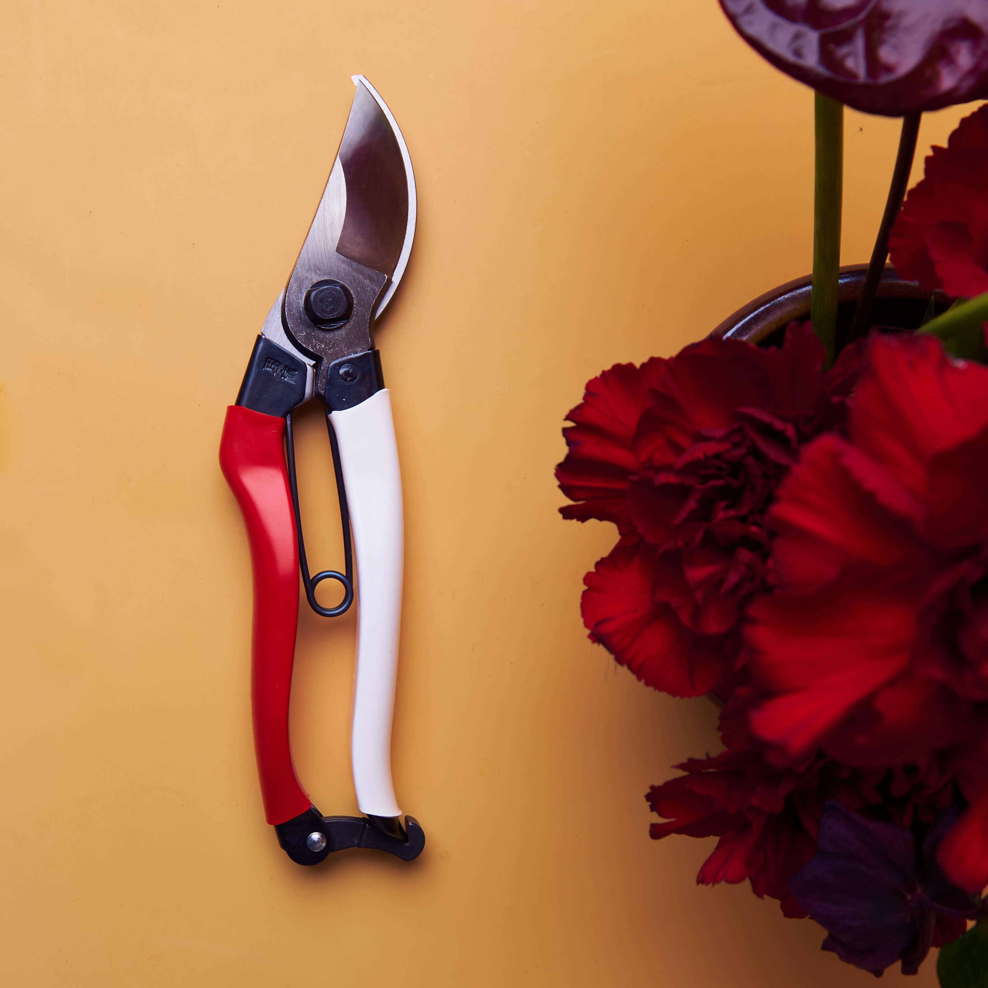 Sécateur de dérivation professionnel, poignée rouge et blanche, 210 mm