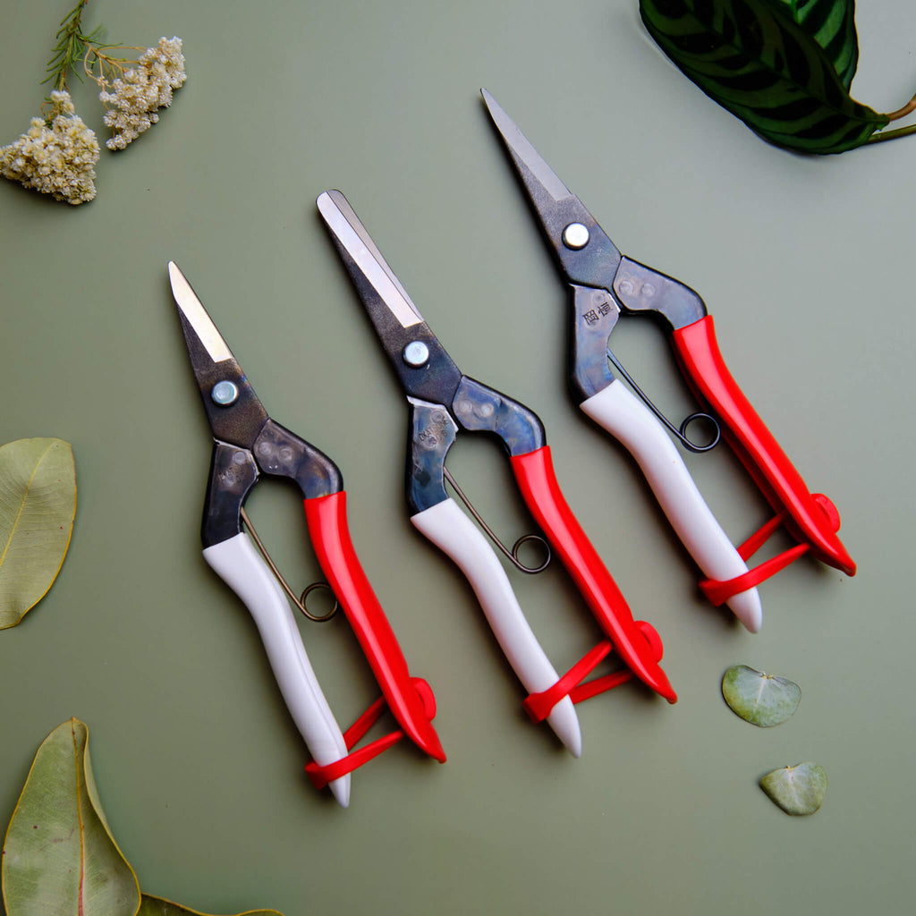 Sécateur de précision à bec court 180mm Ciseaux de jardin pour fleurs Lames tranchantes