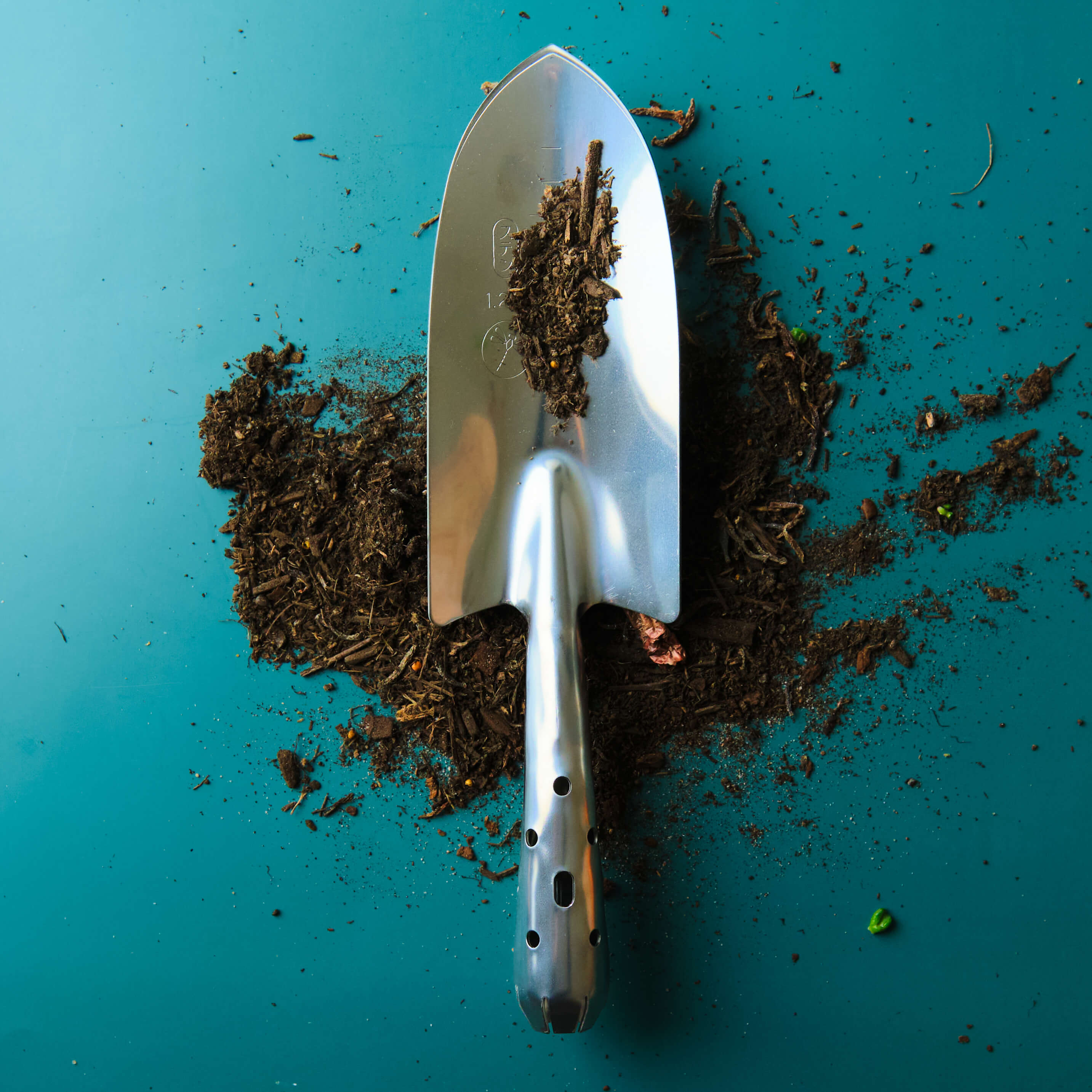 Transplantoir de jardin en acier inoxydable, grande lame, finition poli-miroir, outil de plantation robuste