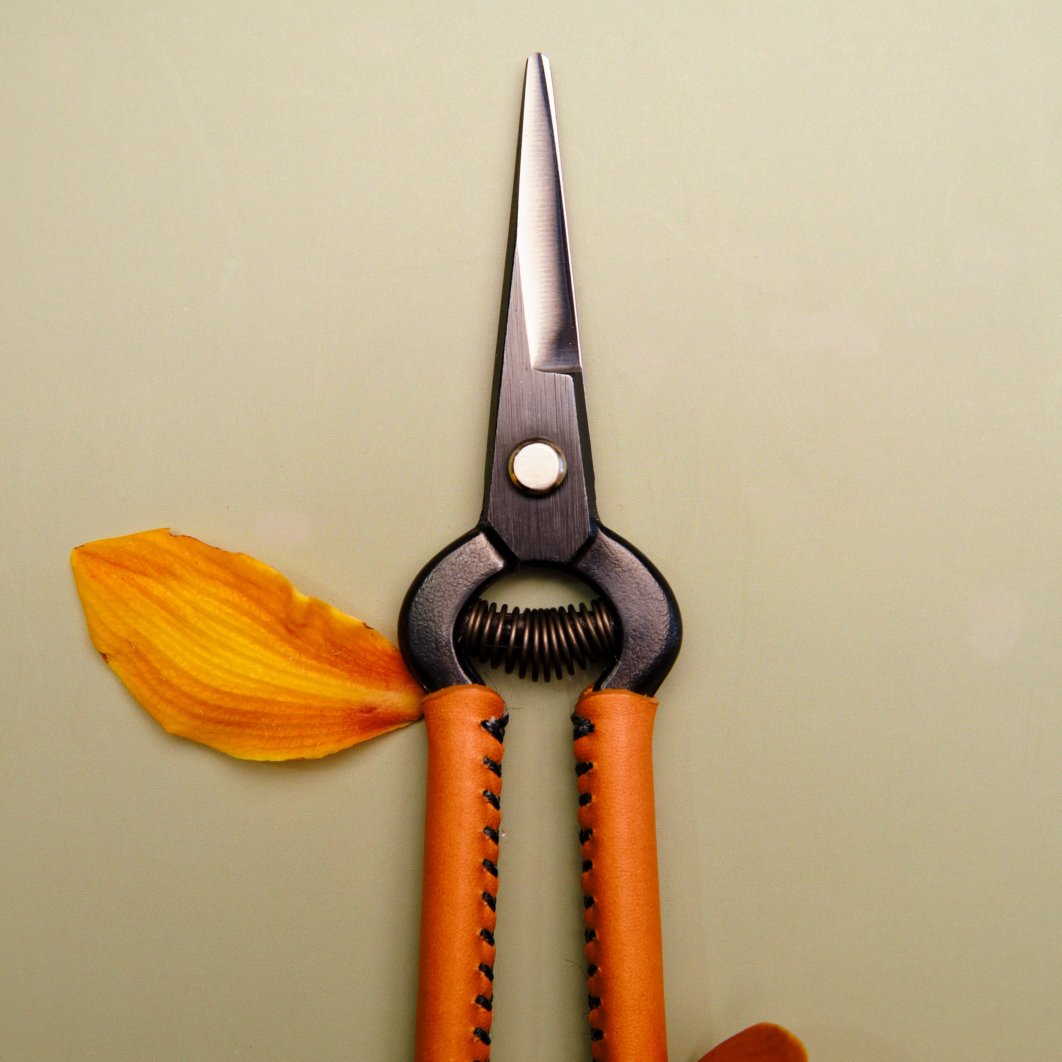 Sécateur japonais en cuir tanné 190 mm en acier à haute teneur en carbone