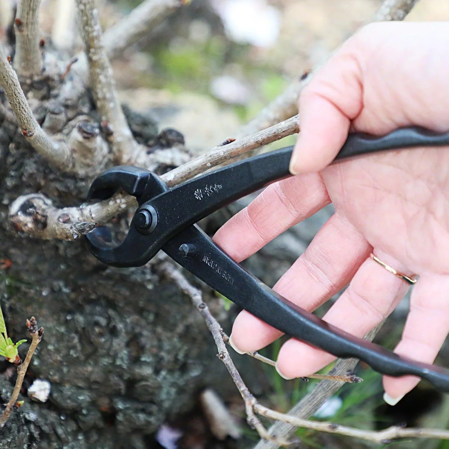 Fendeur de Tronc d'Arbre 210mm Noir Acier Carbone Outil de Façonnage Bonsaï