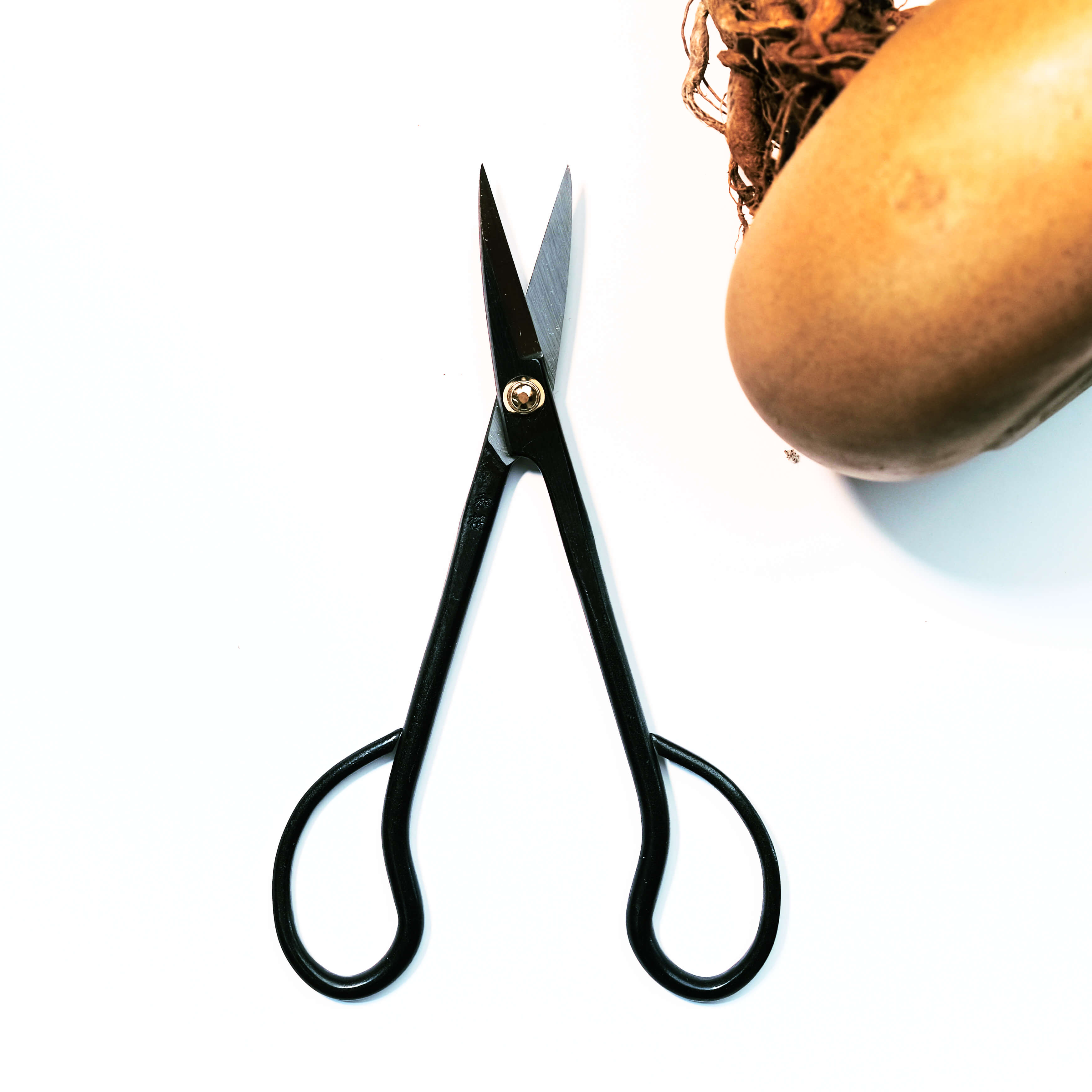 Ciseaux de bonsaï en acier au carbone noir Outil de taille pour une coupe précise