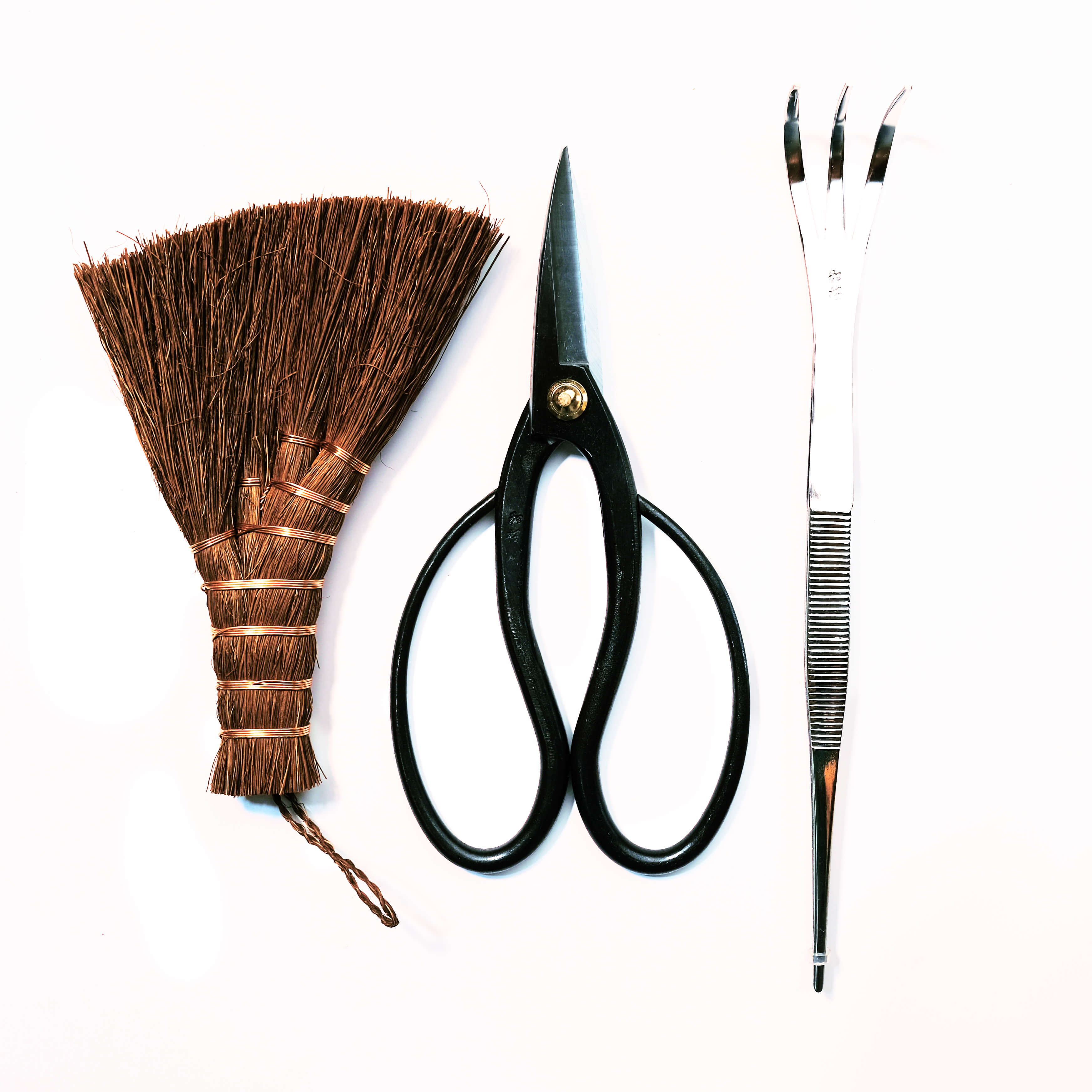 Ciseaux de bonsaï traditionnels en acier au carbone noir, de style papillon, outil de taille