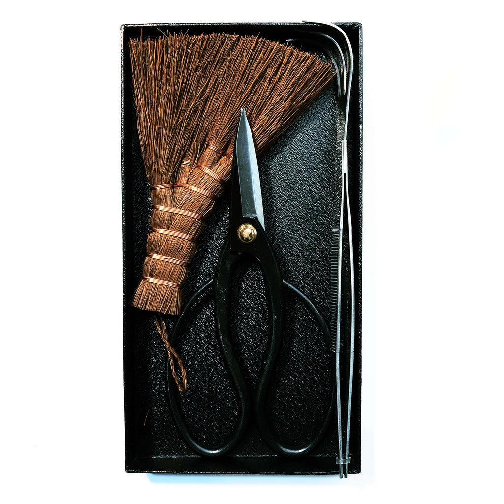 Ciseaux de bonsaï traditionnels en acier au carbone noir, de style papillon, outil de taille