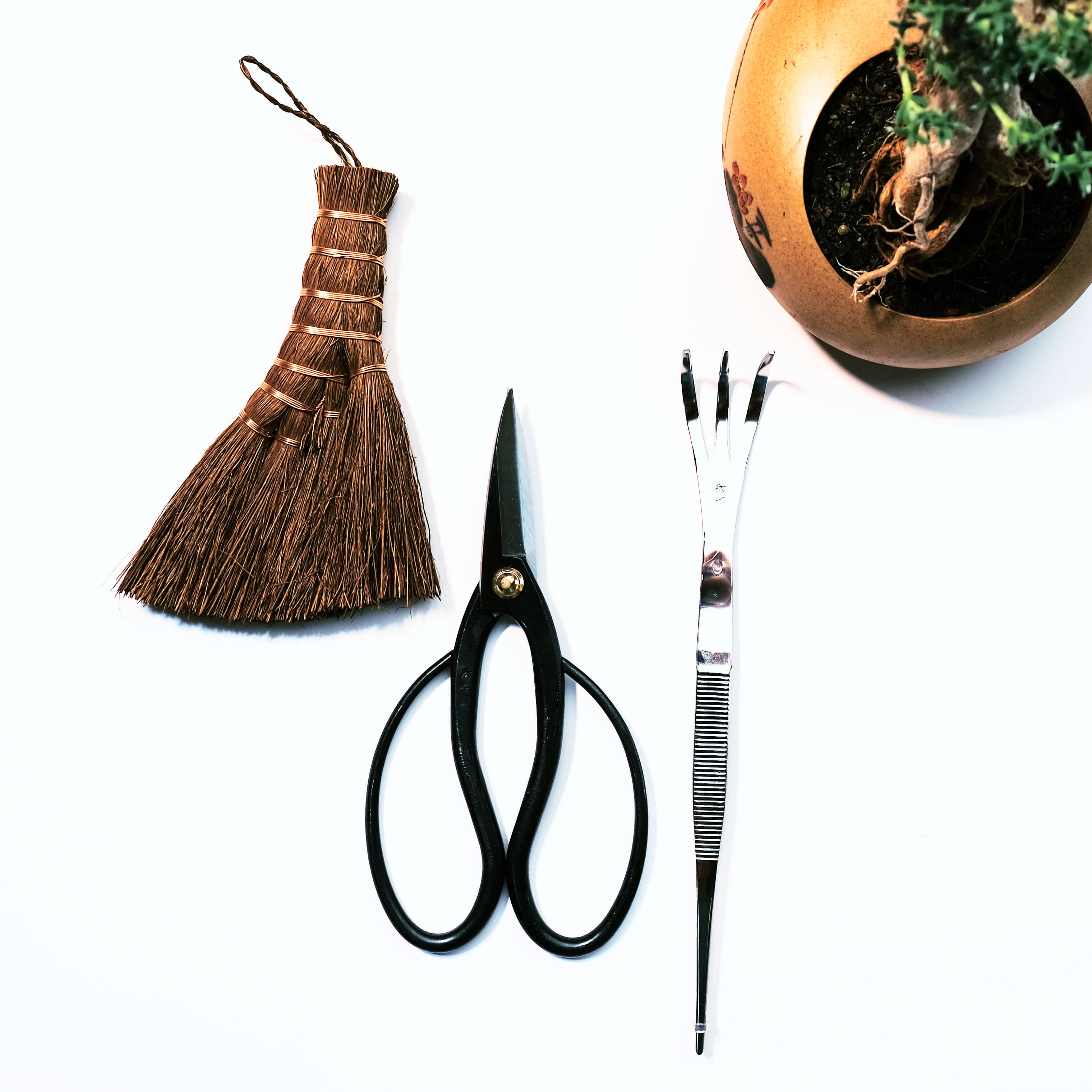 Ciseaux de bonsaï traditionnels en acier au carbone noir, de style papillon, outil de taille