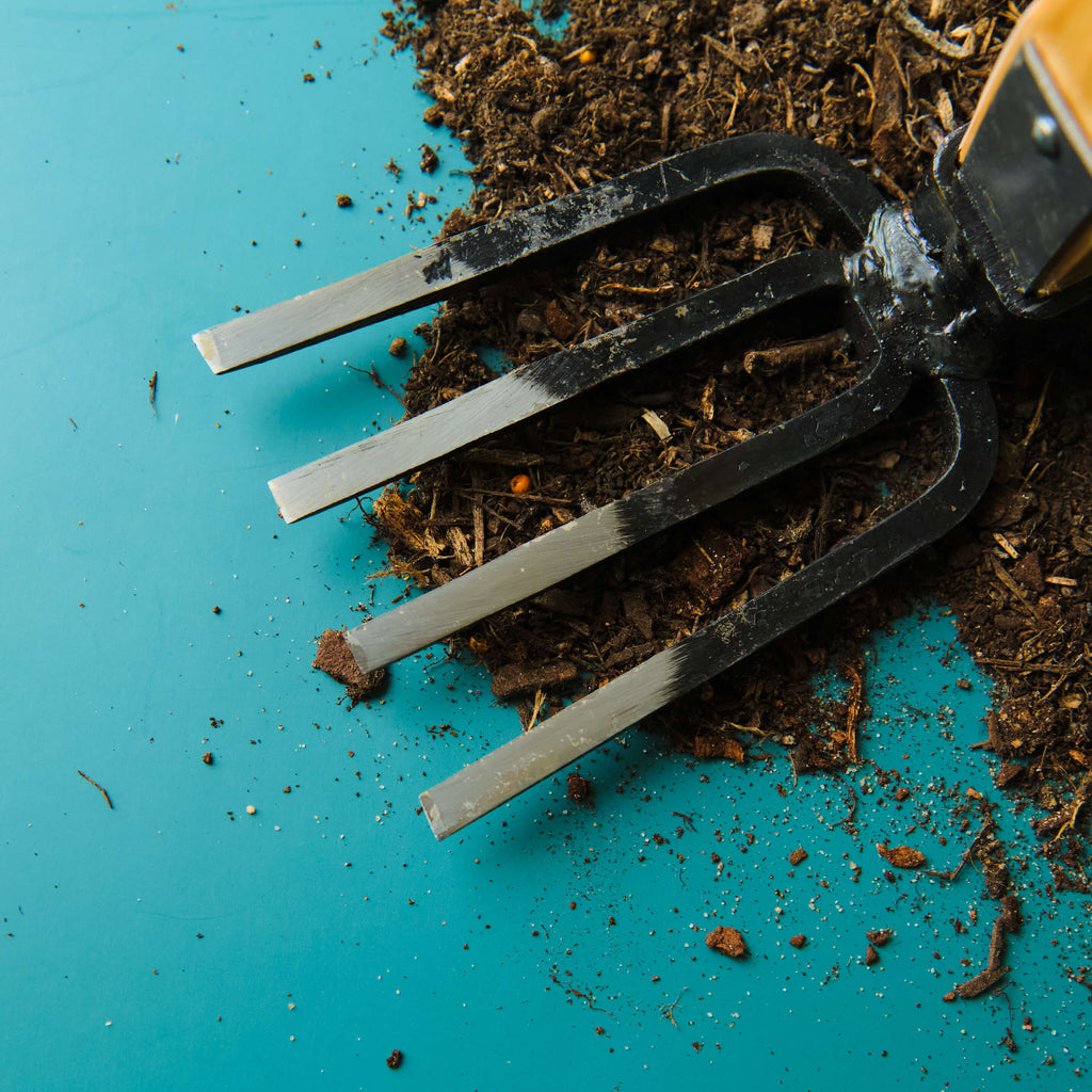 Fourche de jardin à 4 dents avec manche en bois