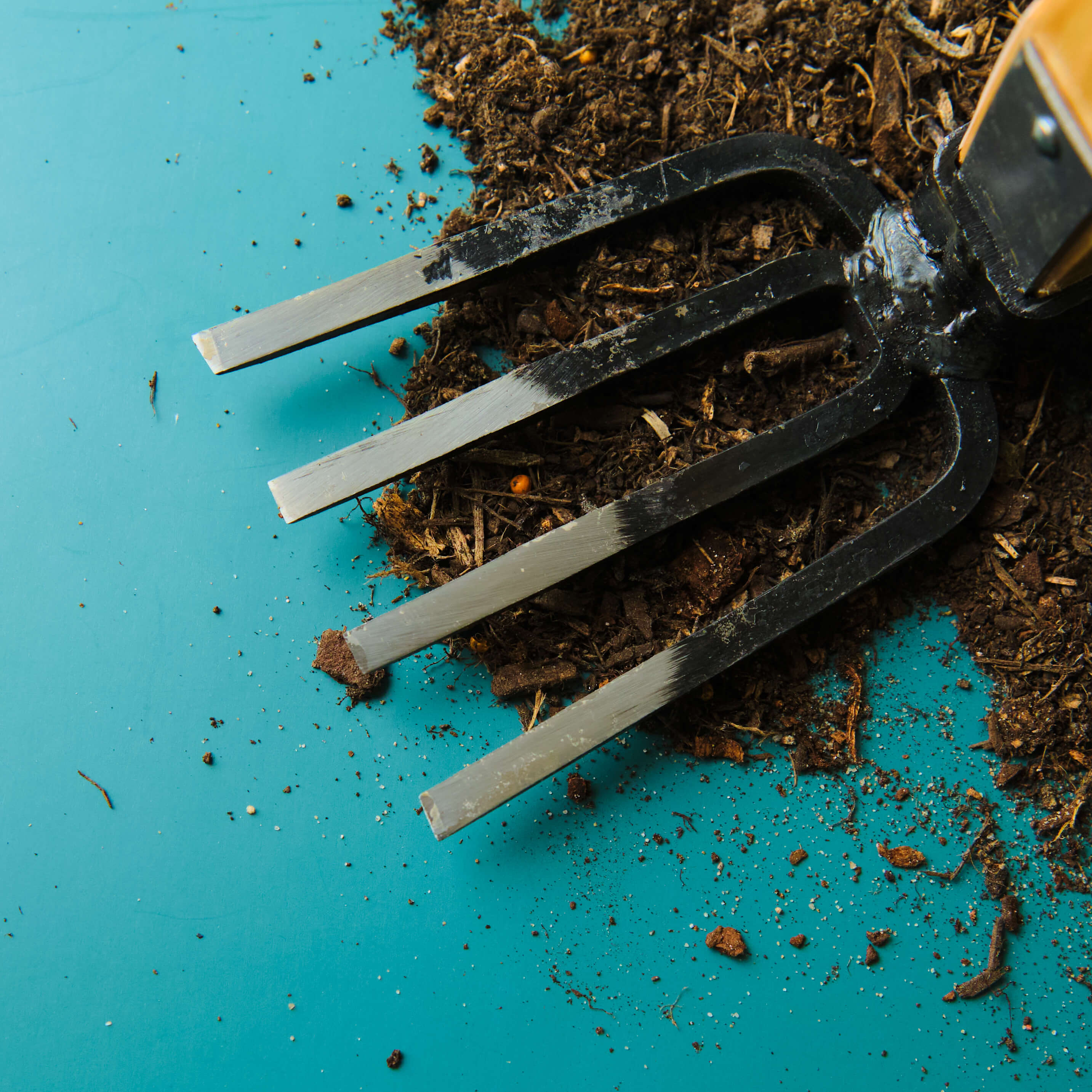 Fourche de jardin à 4 dents avec manche en bois