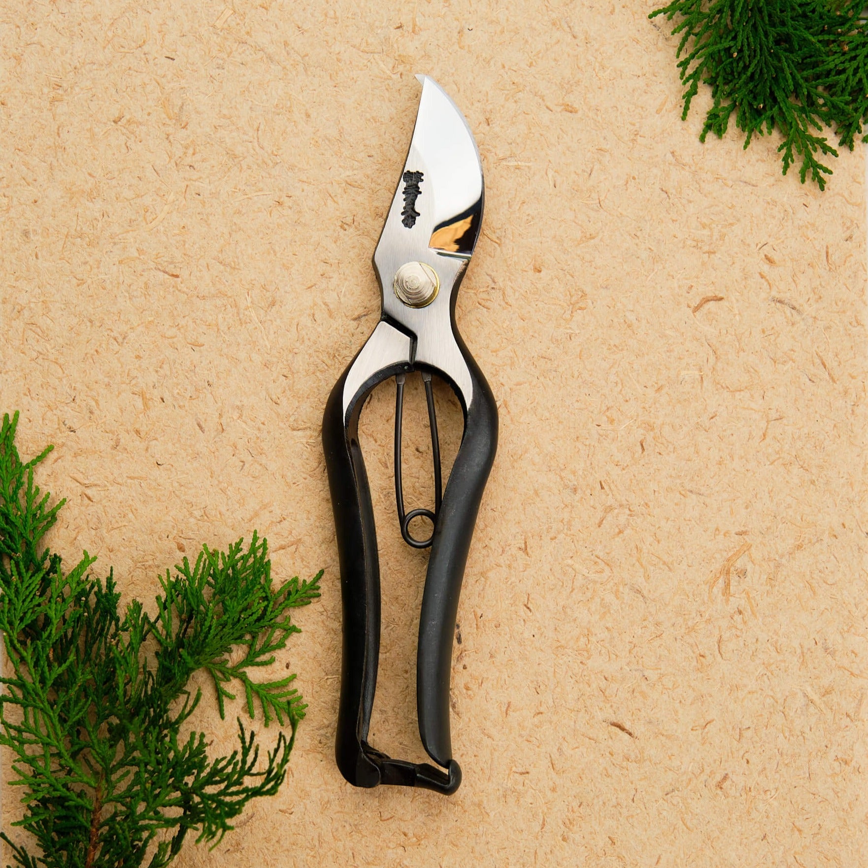 Sécateur en acier à haute teneur en carbone pour jardin et plantes d'intérieur 200 mm