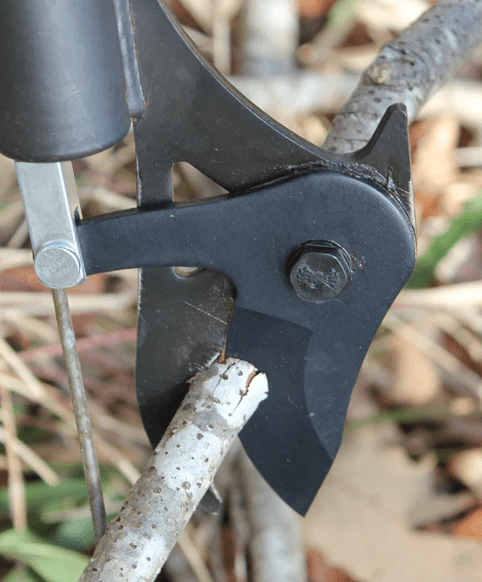 Coupe-branches à action démultipliée de 60 cm avec poignées en bois