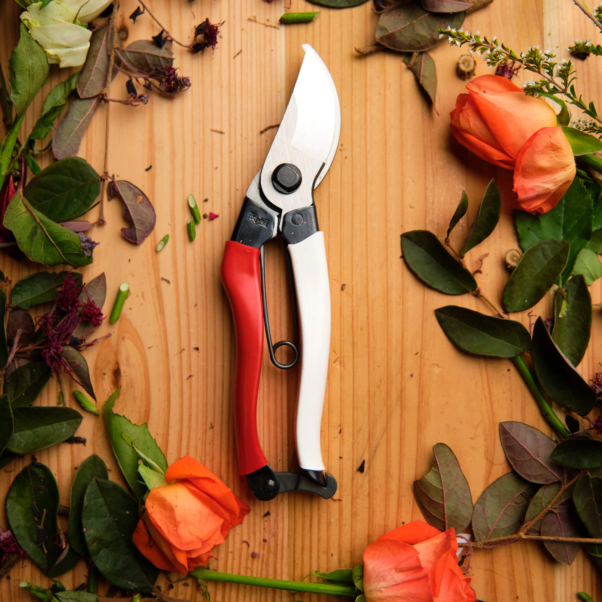 Sécateur professionnel 200 mm pour jardin