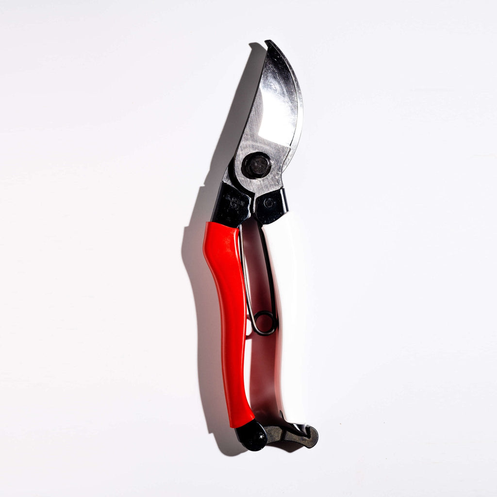 Sécateur de dérivation professionnel, poignée rouge et blanche, 210 mm