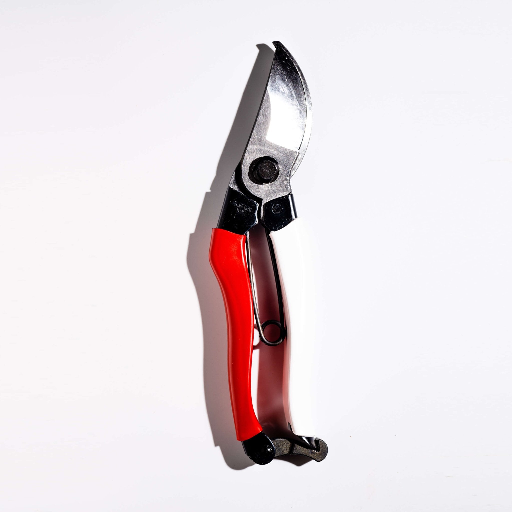 Sécateur de dérivation professionnel, poignée rouge et blanche, 210 mm