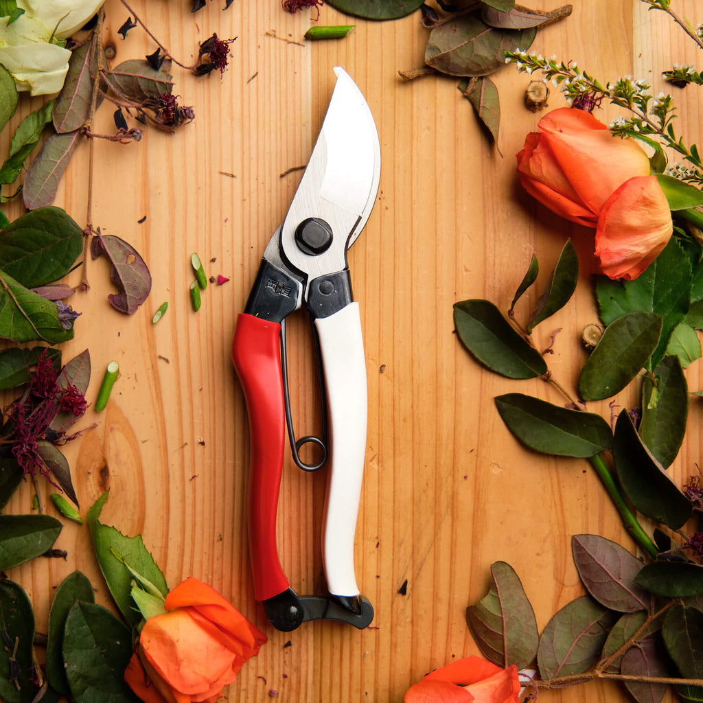 Sécateur de dérivation professionnel, poignée rouge et blanche, 210 mm